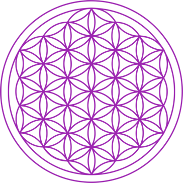 A purple flower of life symbol.
